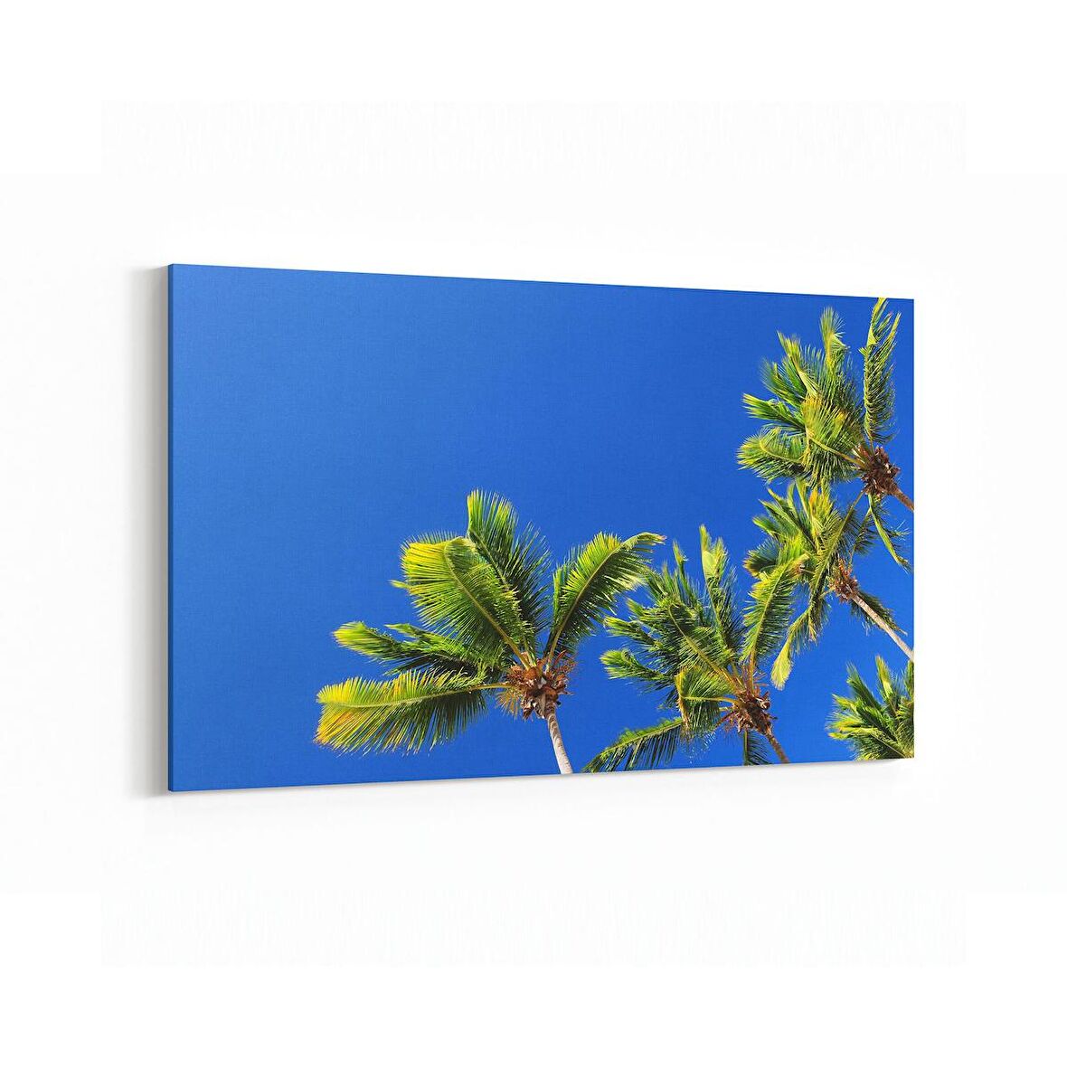 Olla 11493Y Palmiye Ağacı Görseli Yatay Kanvas Tablo (Ölçü: 45X30)