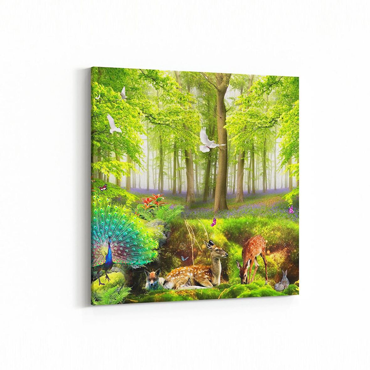 Olla 13600K Doğa / Manzara Görseli Kare Kanvas Tablo (Ölçü: 100X100)