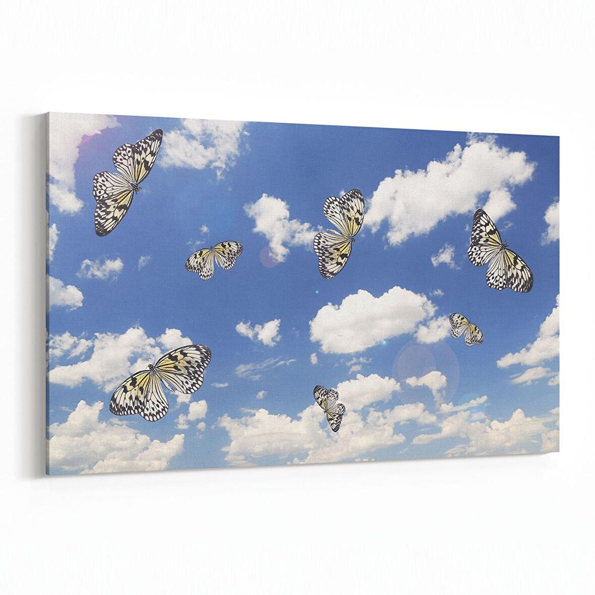 Olla 15849Y Gökyüzü Kuşlar Görseli Yatay Kanvas Tablo (Ölçü: 45X30)