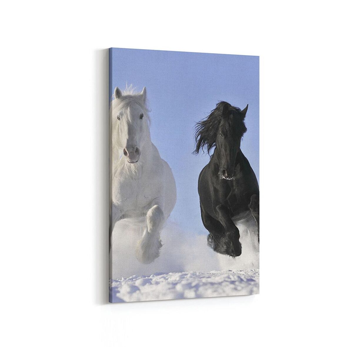 Olla 12628D Hayvanlar Alemi Görseli Dikey Kanvas Tablo (Ölçü: 80X120)