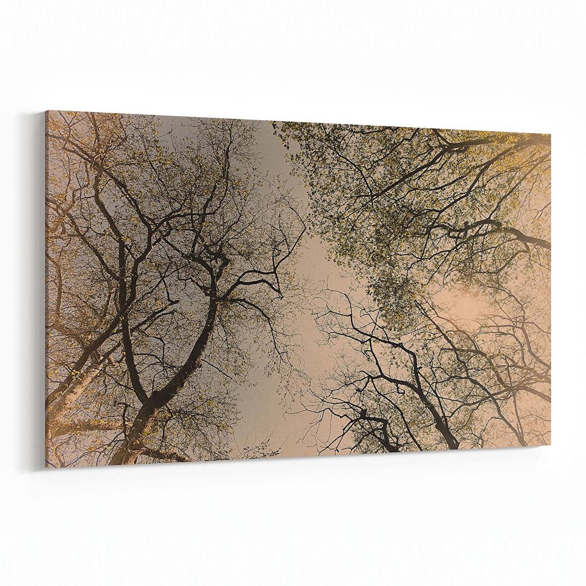 Olla 10850Y Ağaç Görseli Yatay Kanvas Tablo (Ölçü: 90X60)