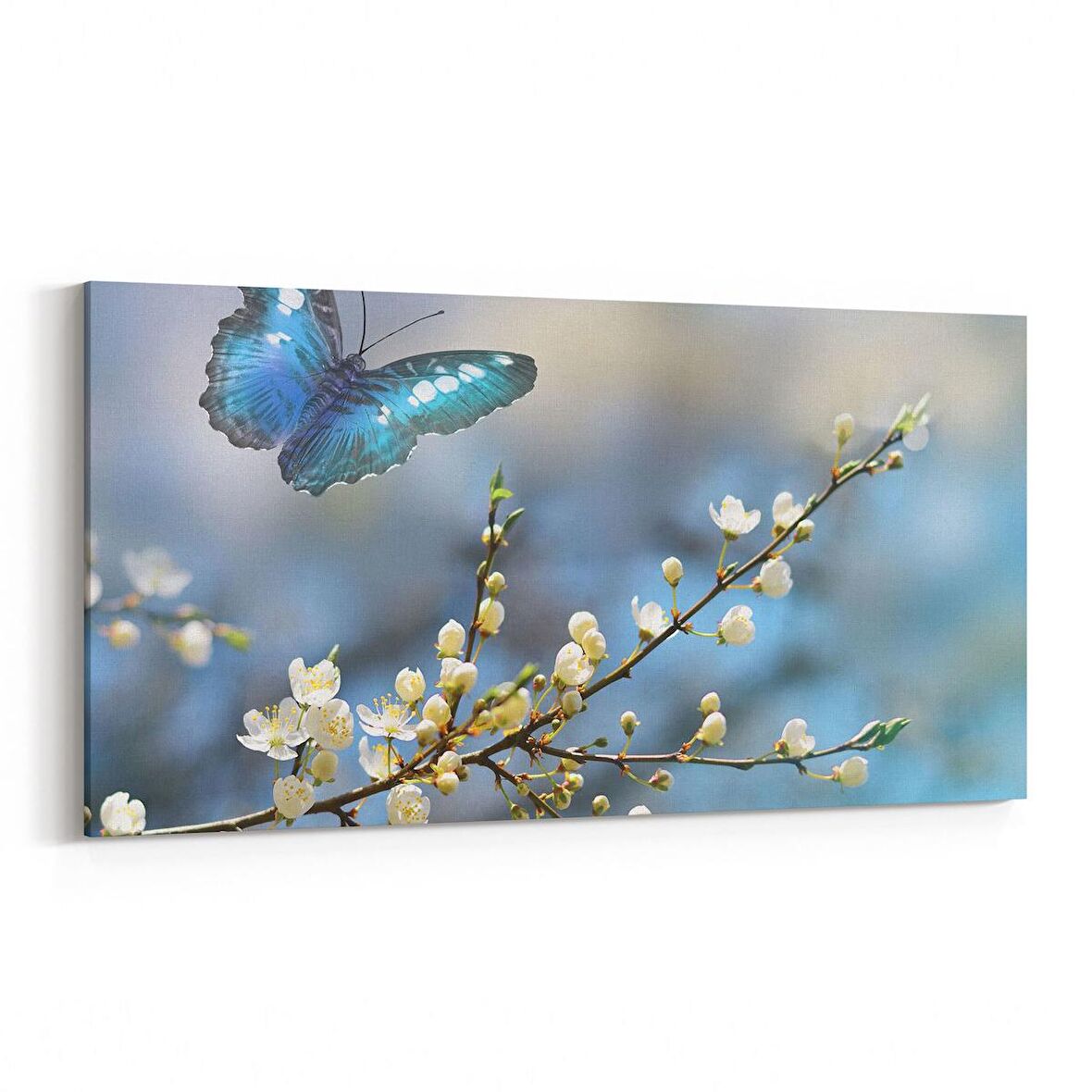 Olla 11727YD Orkide Çiçek Görseli Yatay  Dar Kanvas Tablo (Ölçü: 60X30)