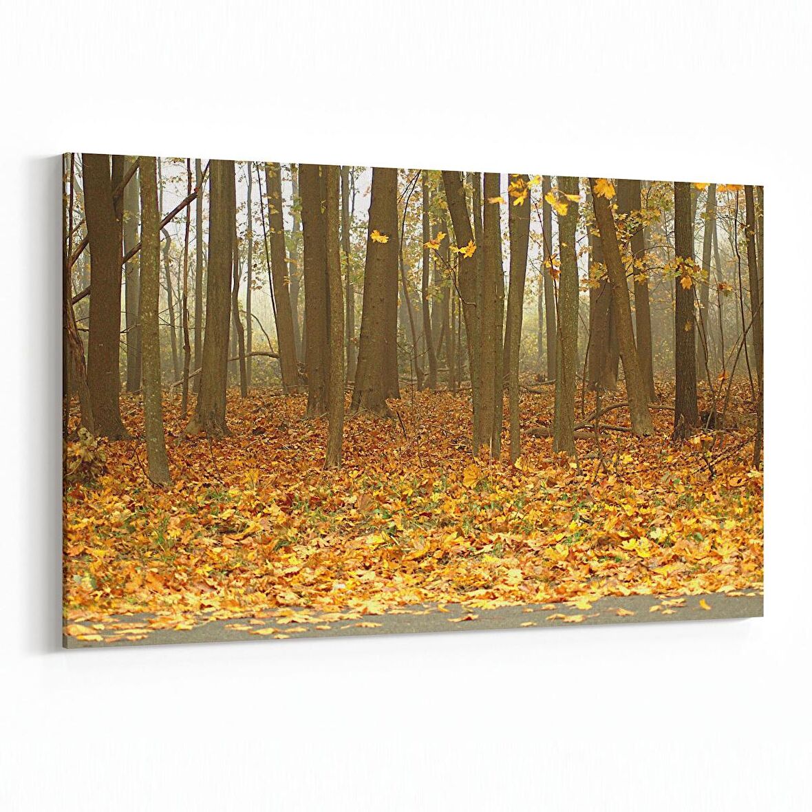 Olla 14449Y Doğa / Manzara Görseli Yatay Kanvas Tablo (Ölçü: 90X60)