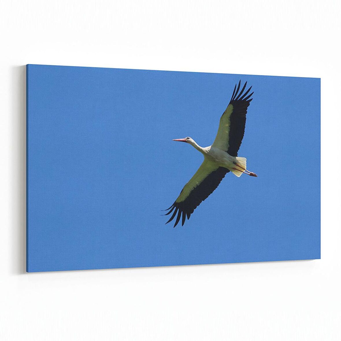 Olla 15863Y Gökyüzü Kuşlar Görseli Yatay Kanvas Tablo (Ölçü: 30X20)