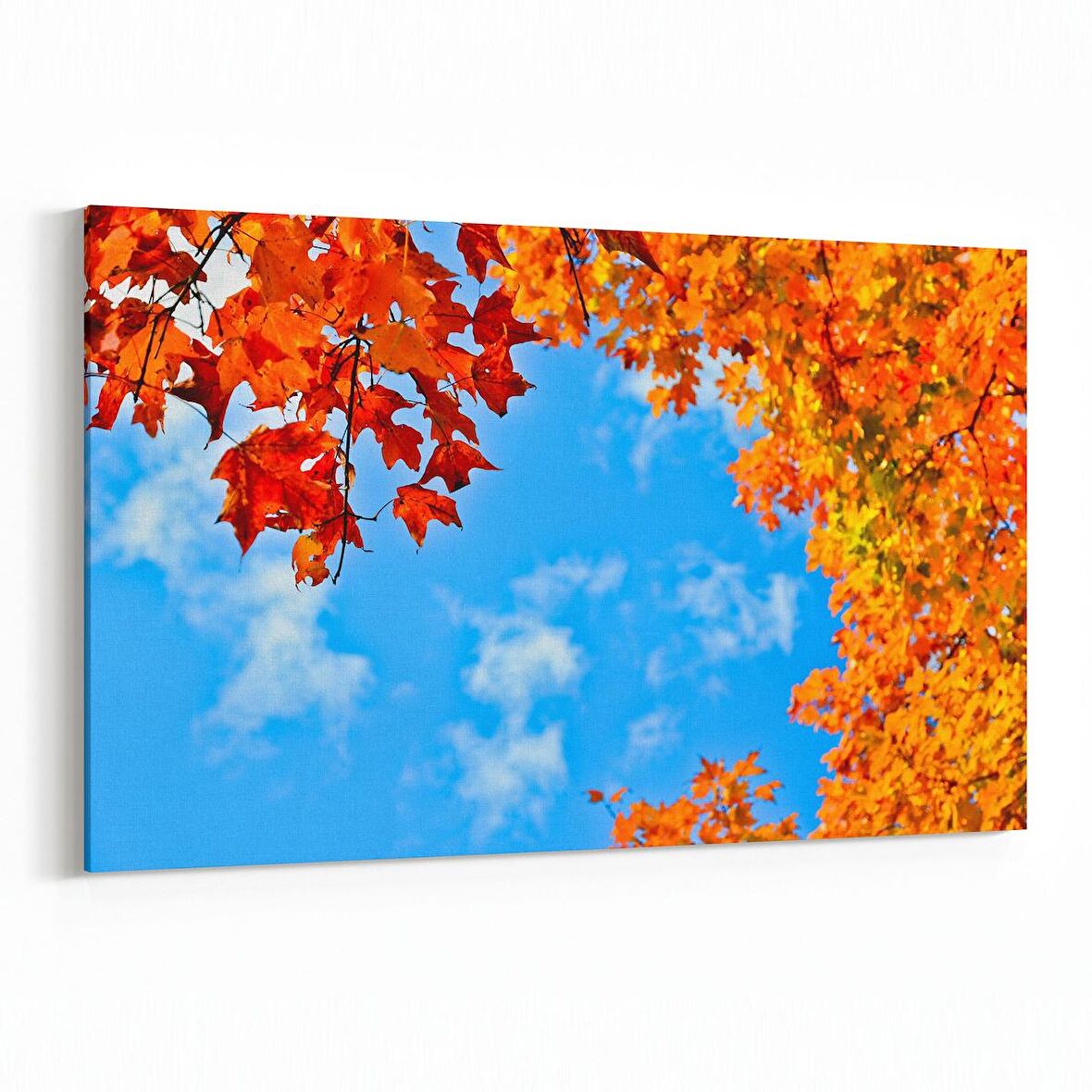 Olla 10714Y Ağaç Görseli Yatay Kanvas Tablo (Ölçü: 150X100)