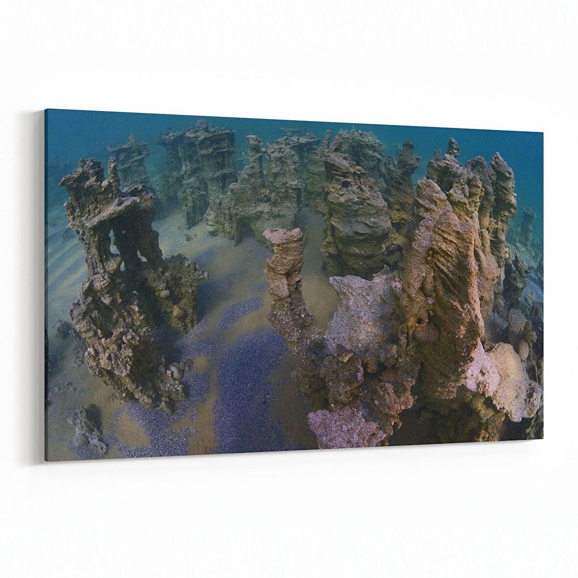 Olla 13269Y Doğa / Manzara Görseli Yatay Kanvas Tablo (Ölçü: 45X30)