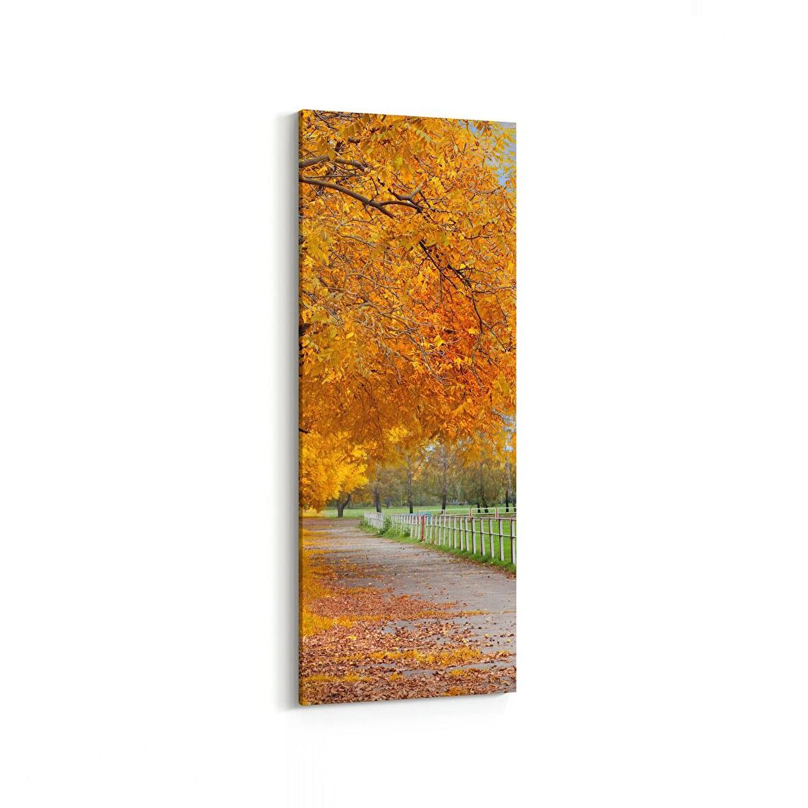 Olla 14413DI Doğa / Manzara Görseli Dikey İnce Kanvas Tablo (Ölçü: 40X120)