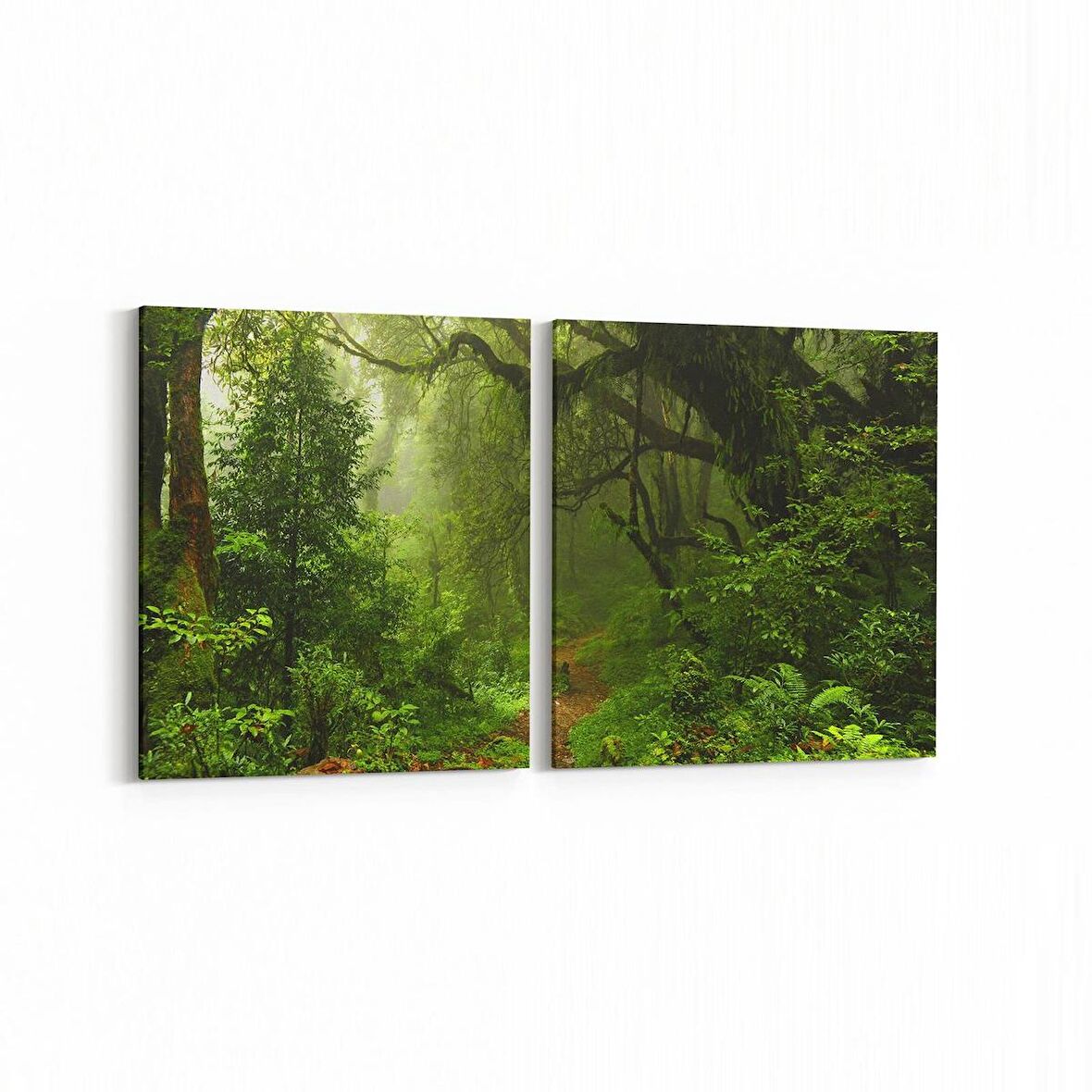 Olla 13455K2Y Doğa / Manzara Görseli Kare 2'li Yatay Kanvas Tablo (Ölçü: 65X30)