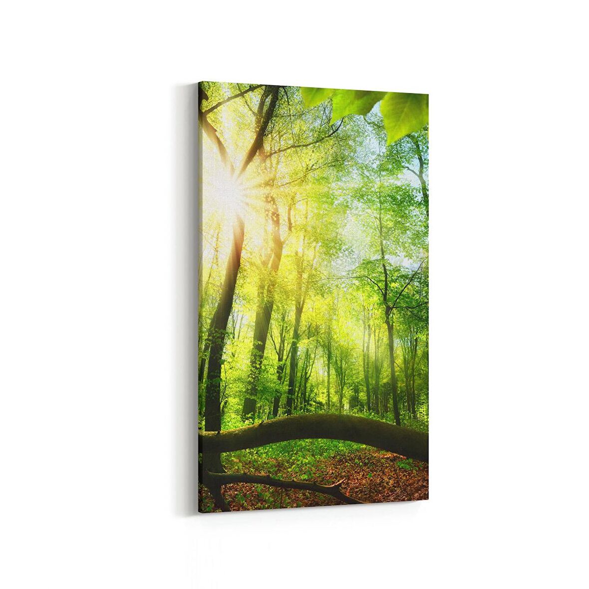 Olla 14313DD Doğa / Manzara Görseli Dikey Dar Kanvas Tablo (Ölçü: 40X80)