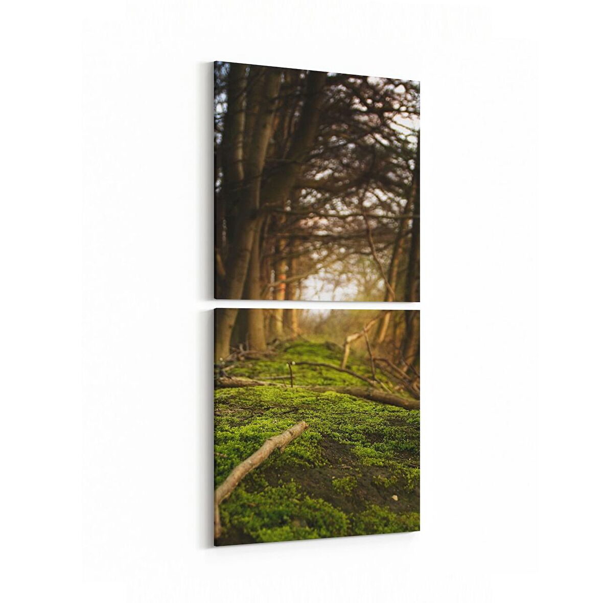 Olla 14005K2D Doğa / Manzara Görseli Kare 2'li Dikey Kanvas Tablo (Ölçü: 30X65)