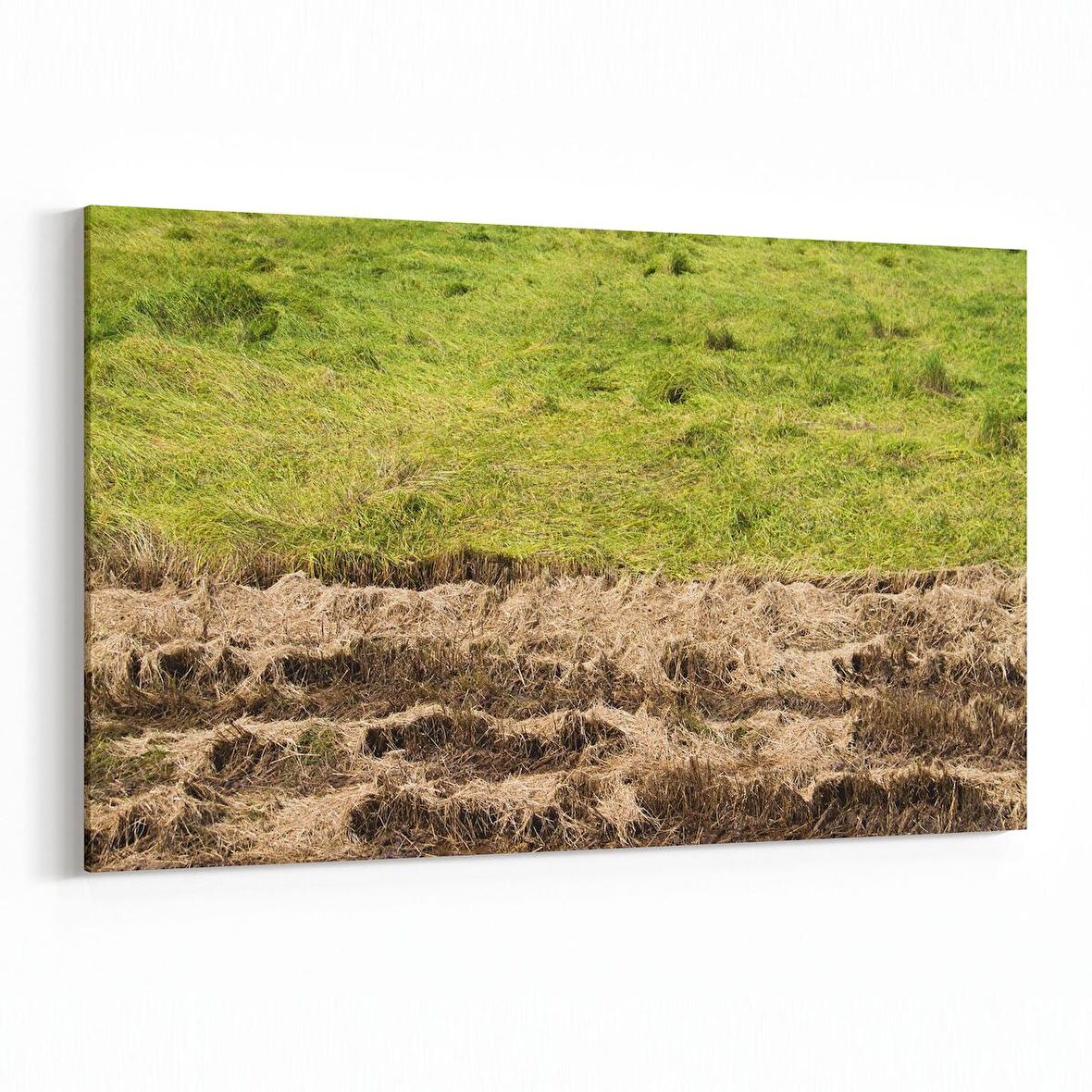 Olla 14179Y Doğa / Manzara Görseli Yatay Kanvas Tablo (Ölçü: 90X60)