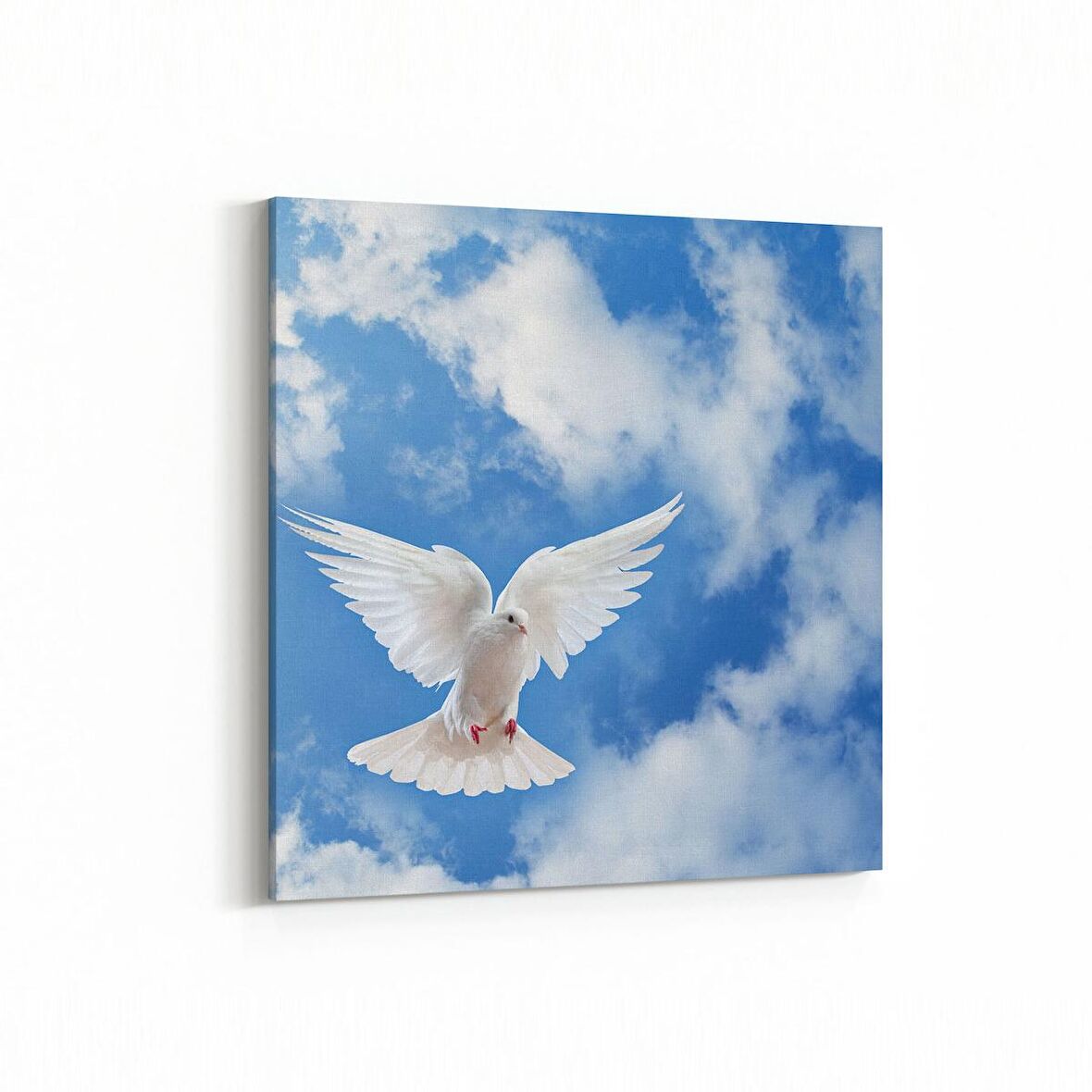 Olla 15880K Gökyüzü Kuşlar Görseli Kare Kanvas Tablo (Ölçü: 25X25)