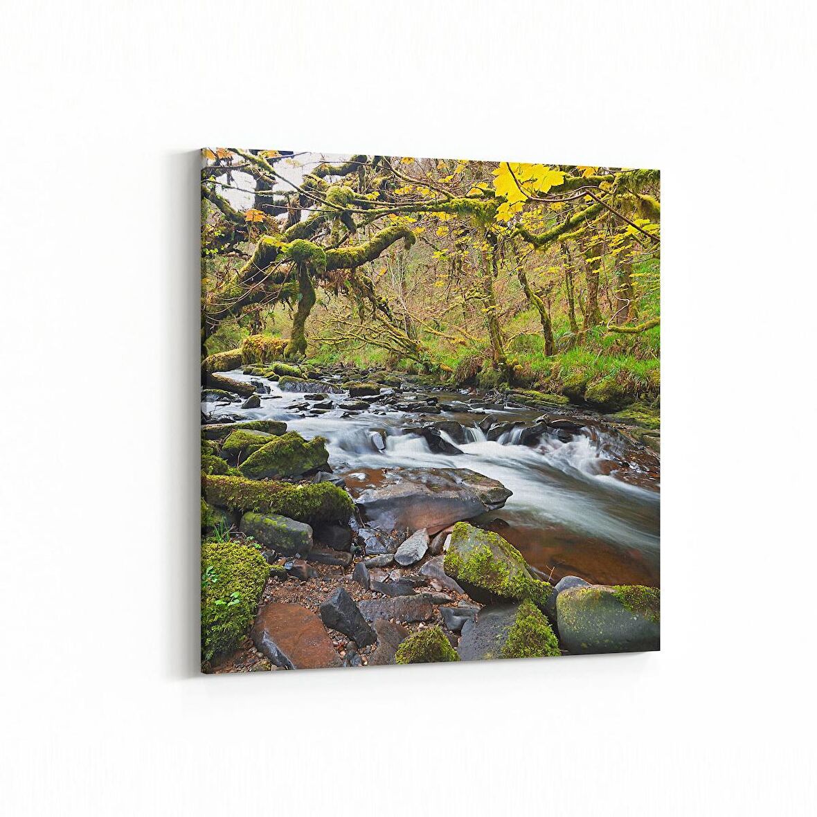 Olla 13170K Doğa / Manzara Görseli Kare Kanvas Tablo (Ölçü: 25X25)