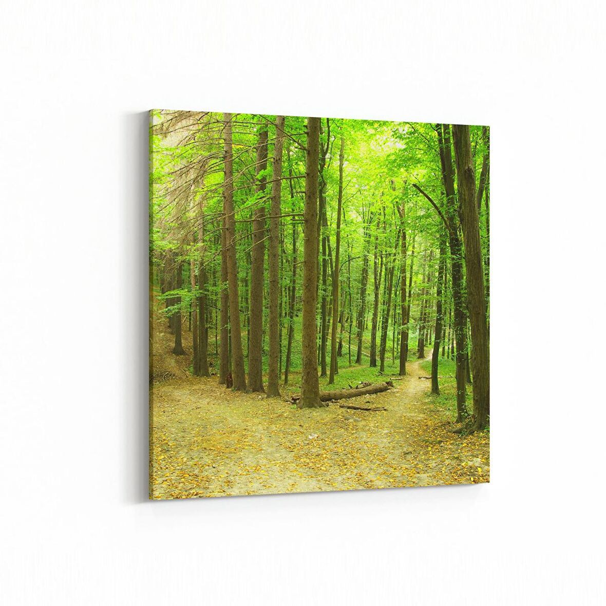 Olla 13946K Doğa / Manzara Görseli Kare Kanvas Tablo (Ölçü: 30X30)