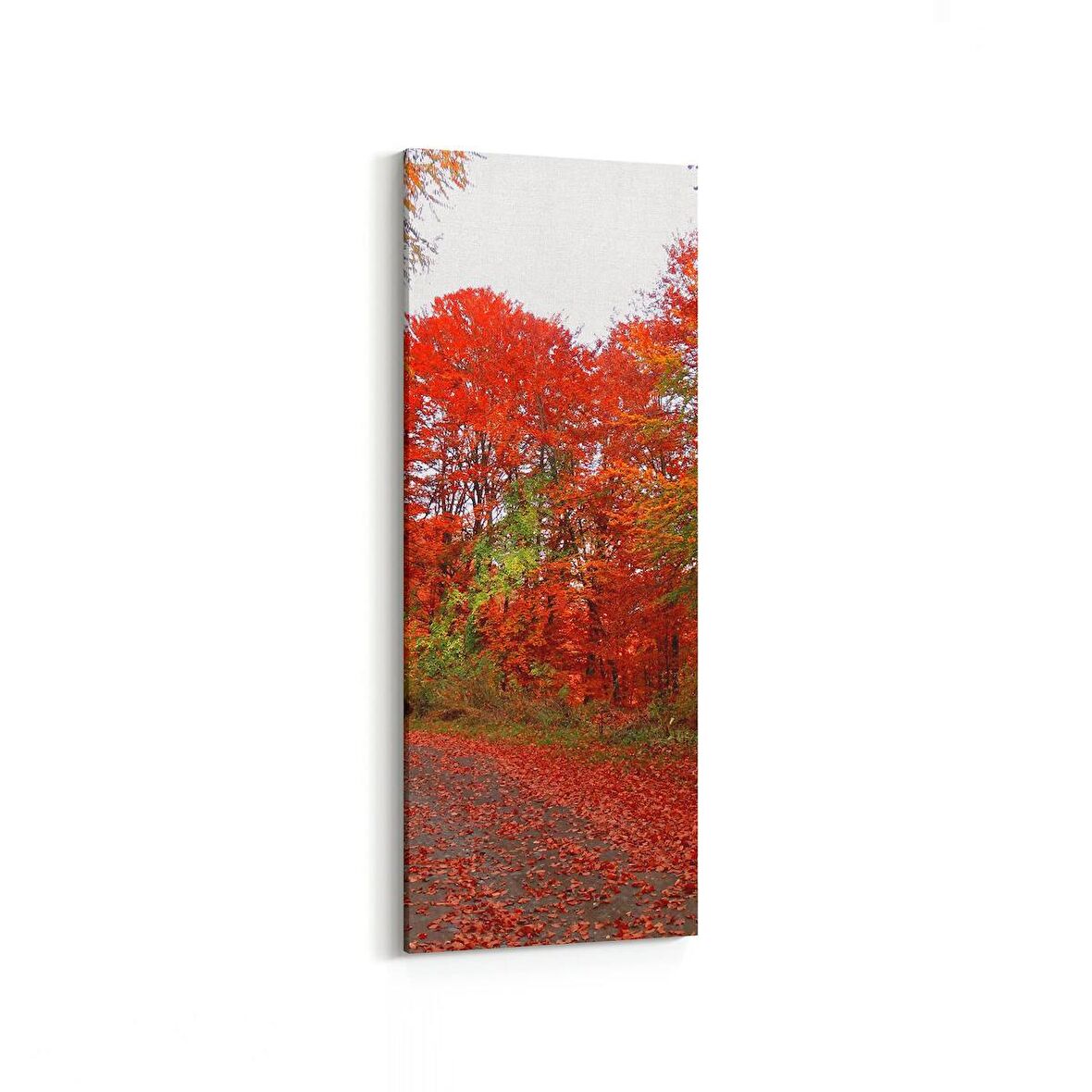 Olla 13211DI Doğa / Manzara Görseli Dikey İnce Kanvas Tablo (Ölçü: 40X120)