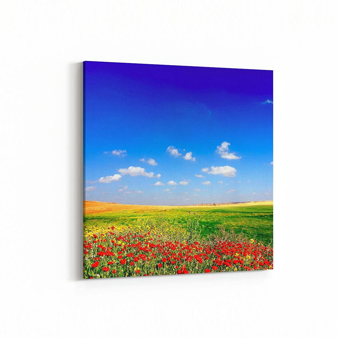 Olla 13930K Doğa / Manzara Görseli Kare Kanvas Tablo (Ölçü: 25X25)