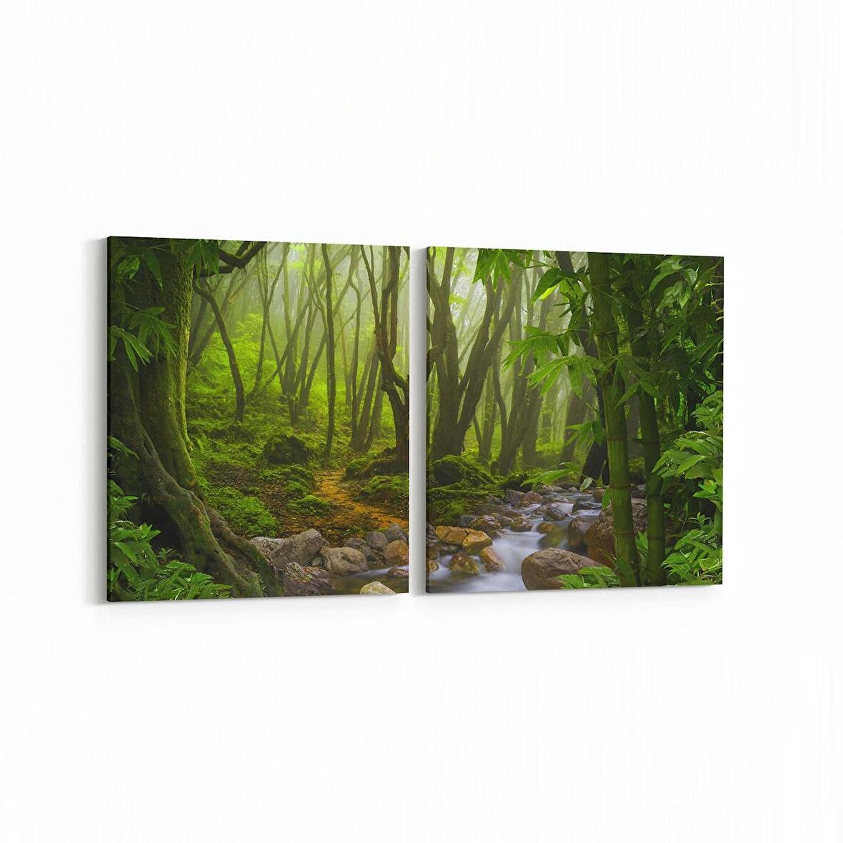 Olla 14431K2Y Doğa / Manzara Görseli Kare 2'li Yatay Kanvas Tablo (Ölçü: 85X40)