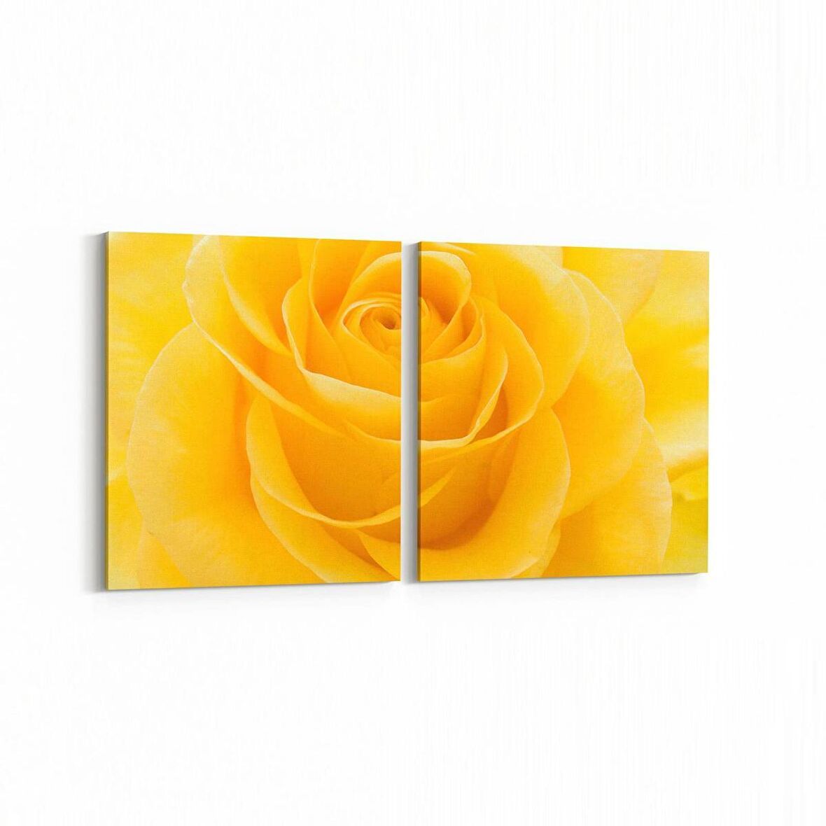 Olla 11648K2Y Çiçek Görseli Kare 2'li Yatay Kanvas Tablo (Ölçü: 65X30)