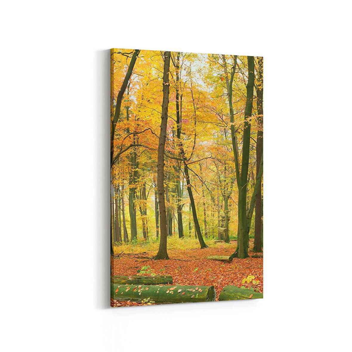 Olla 14354D Doğa / Manzara Görseli Dikey Kanvas Tablo (Ölçü: 60X90)