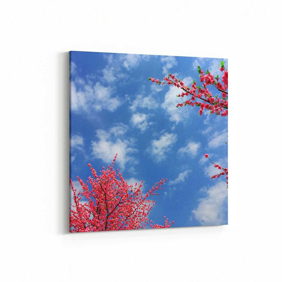 Olla 10940K Ağaç Görseli Kare Kanvas Tablo (Ölçü: 25X25)