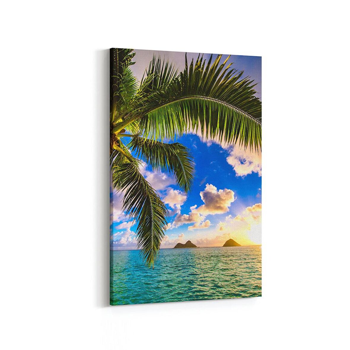 Olla 16064D Günbatımı Görseli Dikey Kanvas Tablo (Ölçü: 80X120)