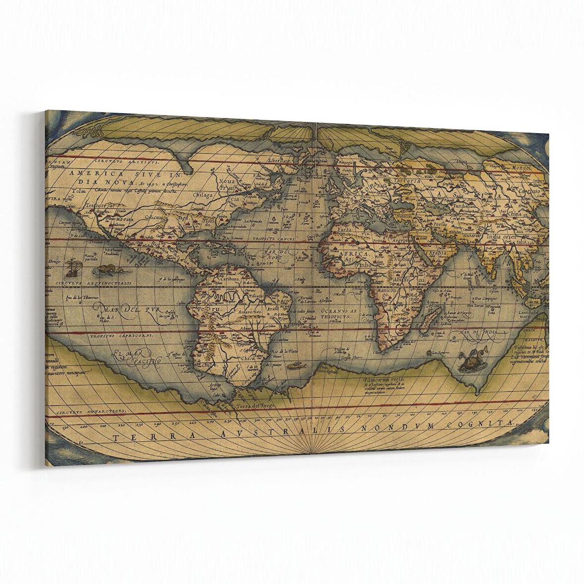 Olla 16242Y Harita Görseli Yatay Kanvas Tablo (Ölçü: 70X50)