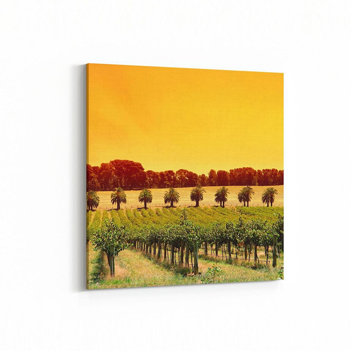 Olla 13815K Doğa / Manzara Görseli Kare Kanvas Tablo (Ölçü: 25X25)