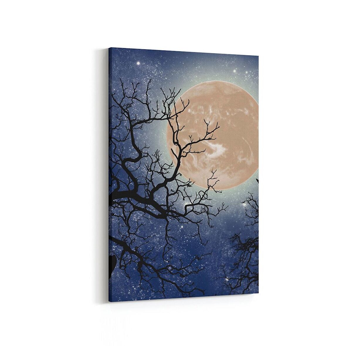 Olla 14639D Gece Gökyüzü Görseli Dikey Kanvas Tablo (Ölçü: 20X30)