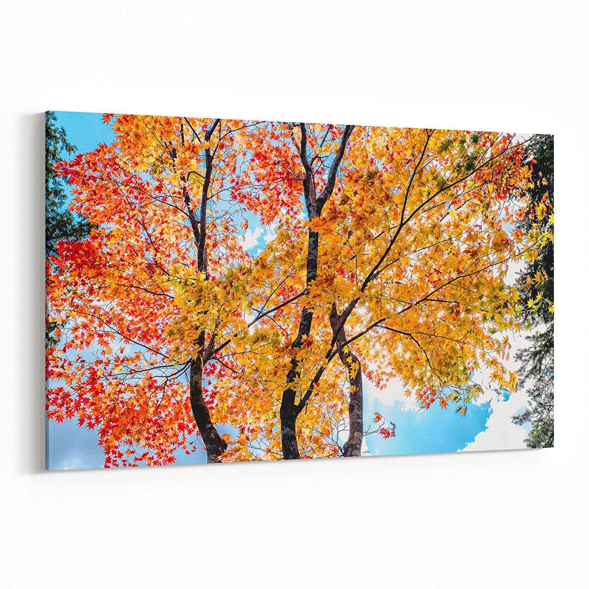 Olla 11008Y Ağaç Görseli Yatay Kanvas Tablo (Ölçü: 120X80)