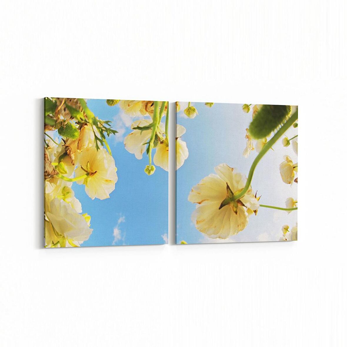 Olla 11028K2Y Ağaç Görseli Kare 2'li Yatay Kanvas Tablo (Ölçü: 145X70)