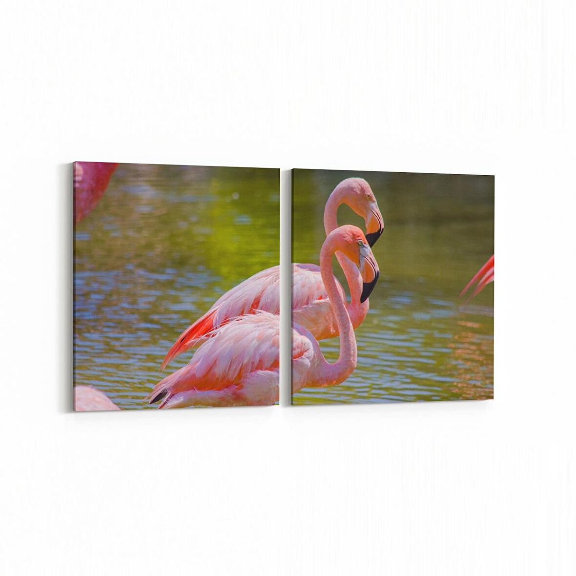 Olla 12481K2Y Hayvanlar Alemi Görseli Kare 2'li Yatay Kanvas Tablo (Ölçü: 65X30)