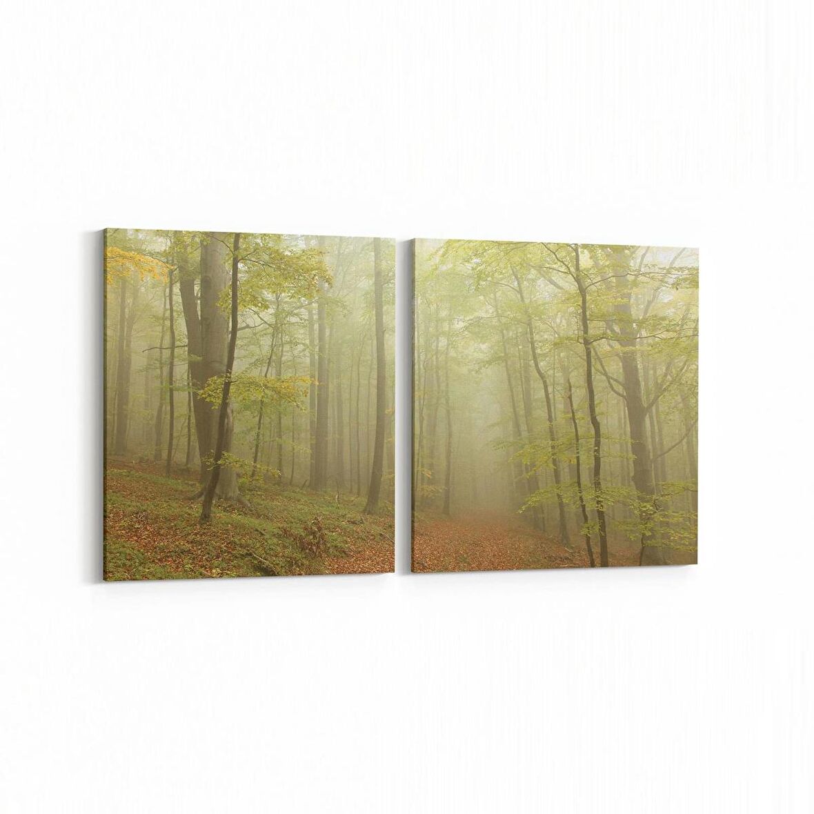 Olla 14593K2Y Doğa / Manzara Görseli Kare 2'li Yatay Kanvas Tablo (Ölçü: 125X60)