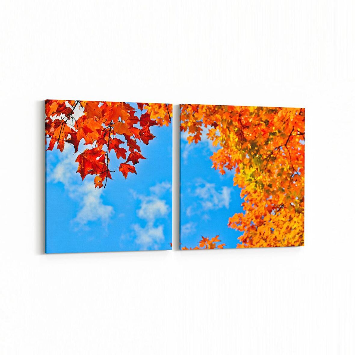 Olla 10714K2Y Ağaç Görseli Kare 2'li Yatay Kanvas Tablo (Ölçü: 145X70)