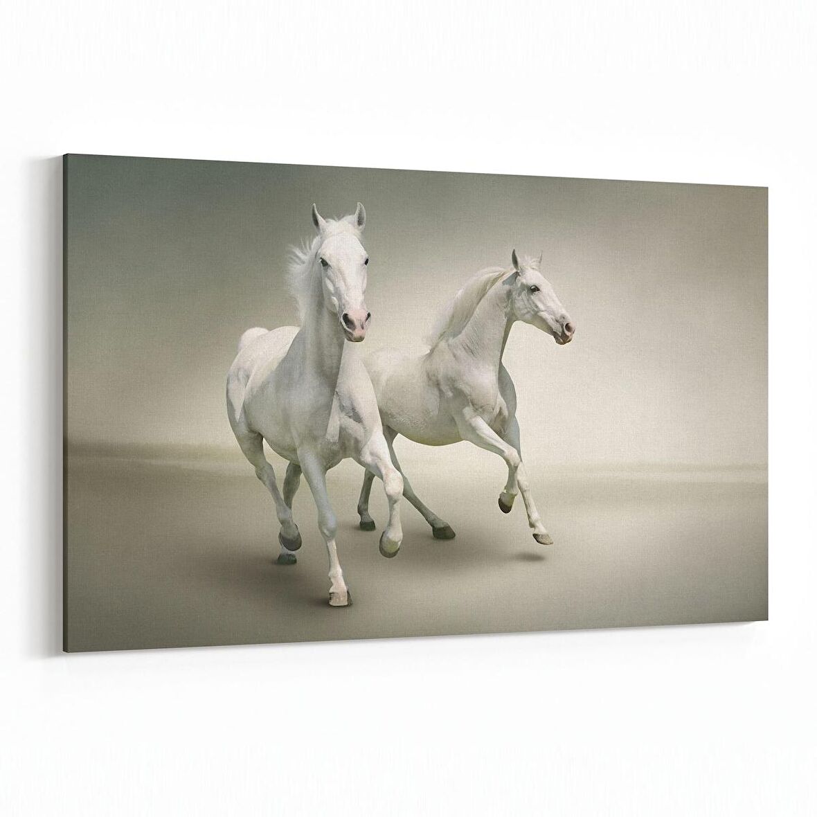 Olla 12473Y Hayvanlar Alemi Görseli Yatay Kanvas Tablo (Ölçü: 150X100)