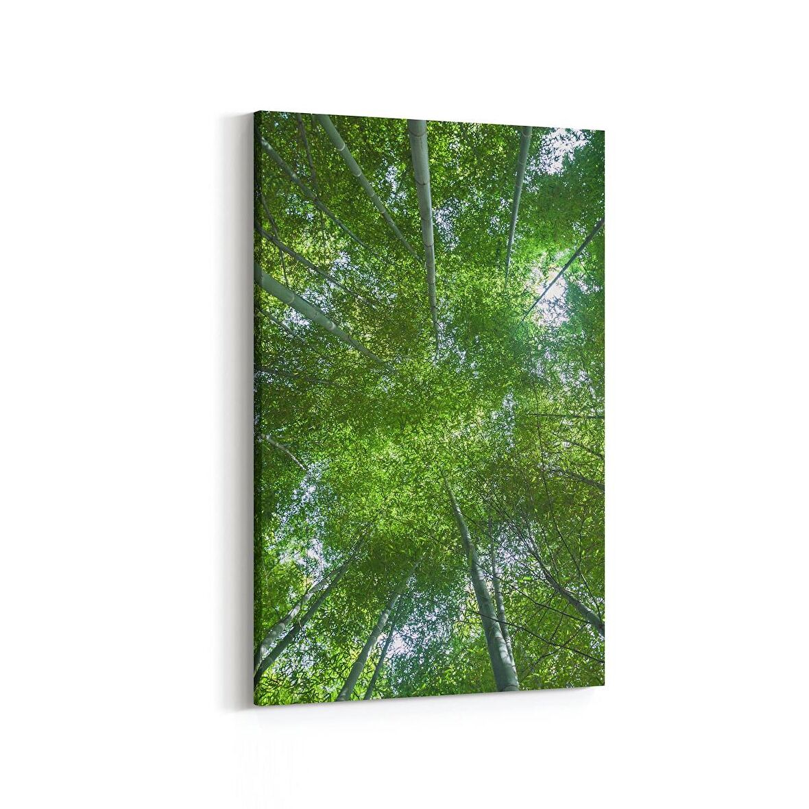 Olla 10518D Ağaç Görseli Dikey Kanvas Tablo (Ölçü: 100X150)