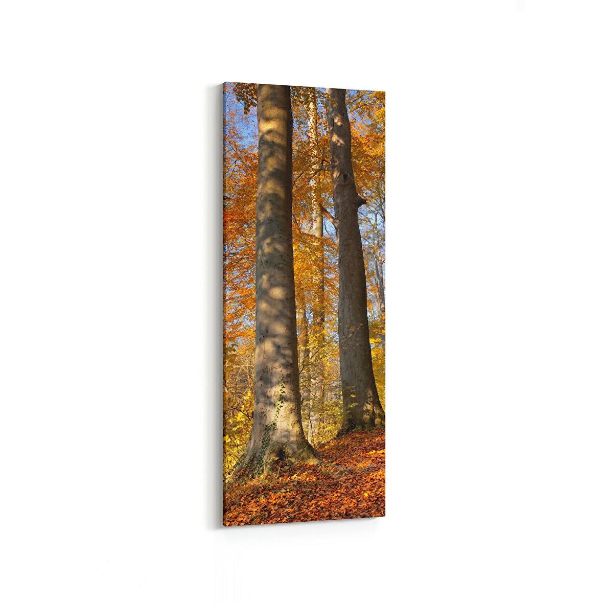 Olla 13255DI Doğa / Manzara Görseli Dikey İnce Kanvas Tablo (Ölçü: 40X120)