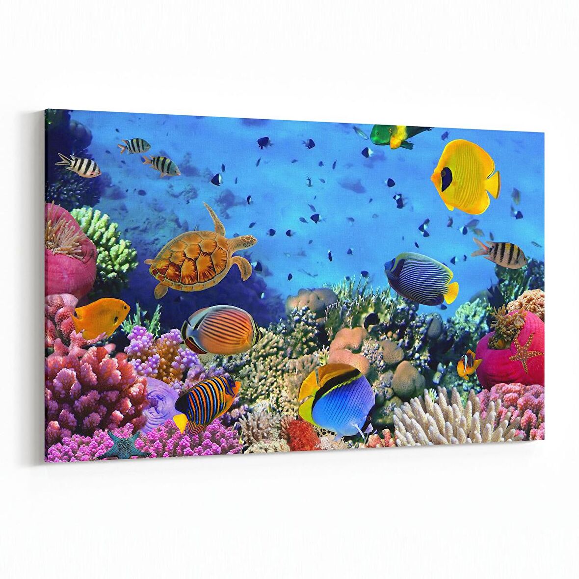 Olla 12061Y Akvaryum / Balık Görseli Yatay Kanvas Tablo (Ölçü: 150X100)