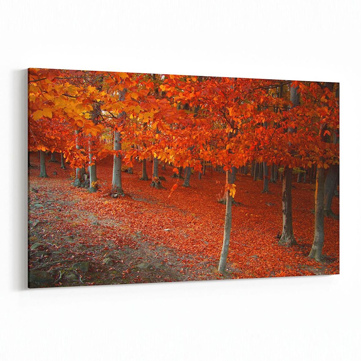 Olla 13335Y Doğa / Manzara Görseli Yatay Kanvas Tablo (Ölçü: 45X30)