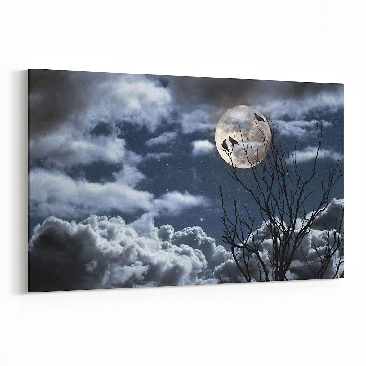 Olla 14828Y Gece Gökyüzü Görseli Yatay Kanvas Tablo (Ölçü: 30X20)