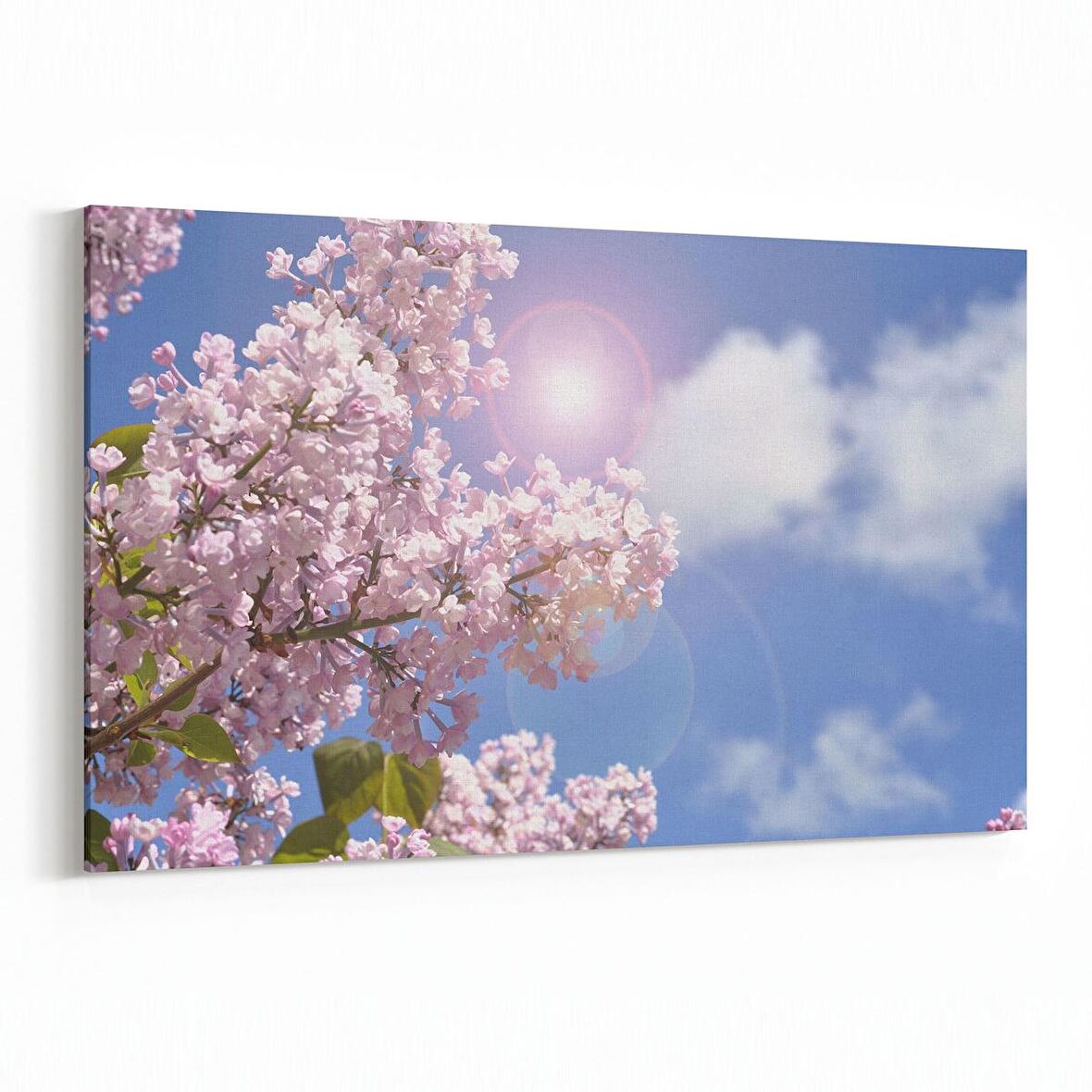 Olla 10787Y Ağaç Görseli Yatay Kanvas Tablo (Ölçü: 70X50)