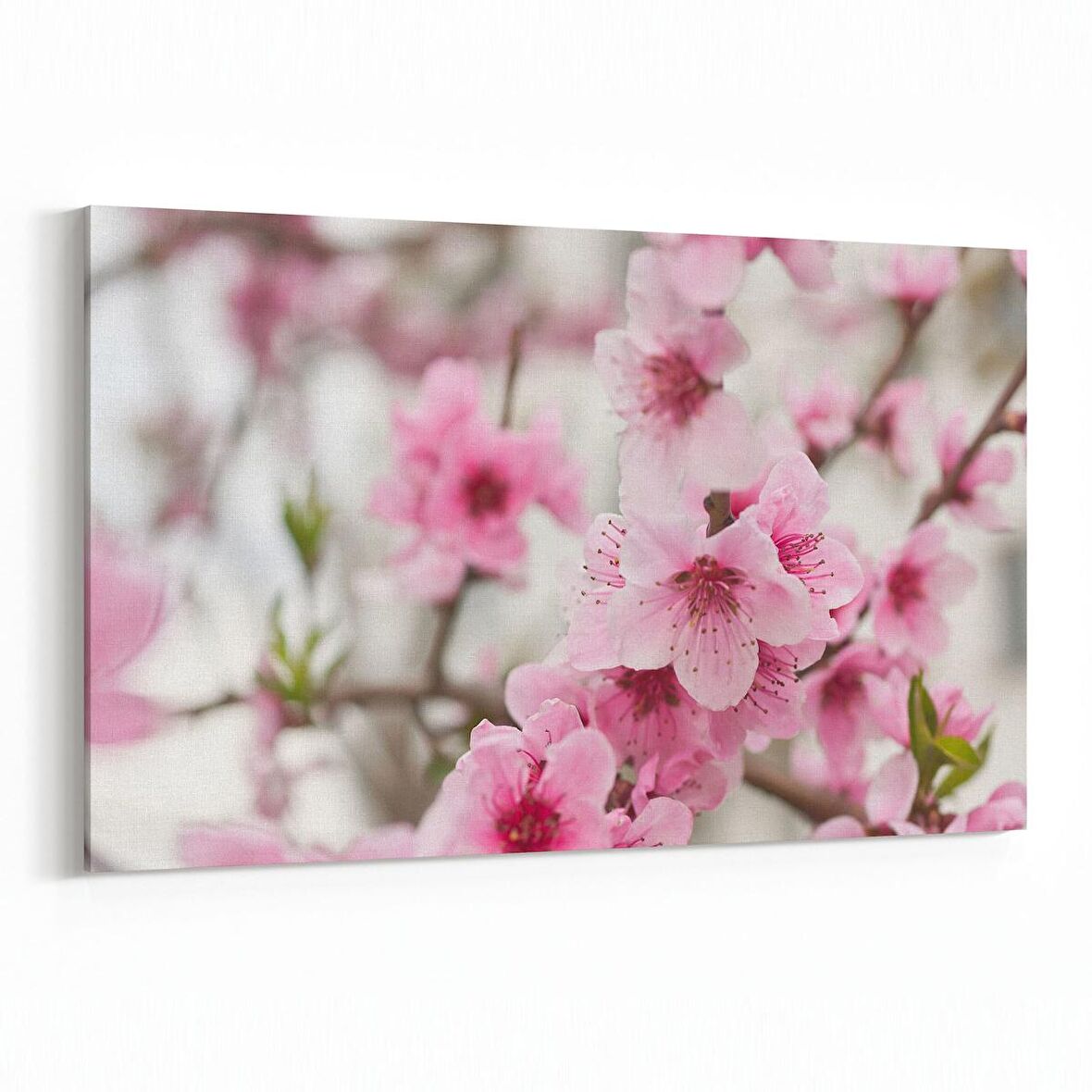 Olla 11013Y Ağaç Görseli Yatay Kanvas Tablo (Ölçü: 30X20)