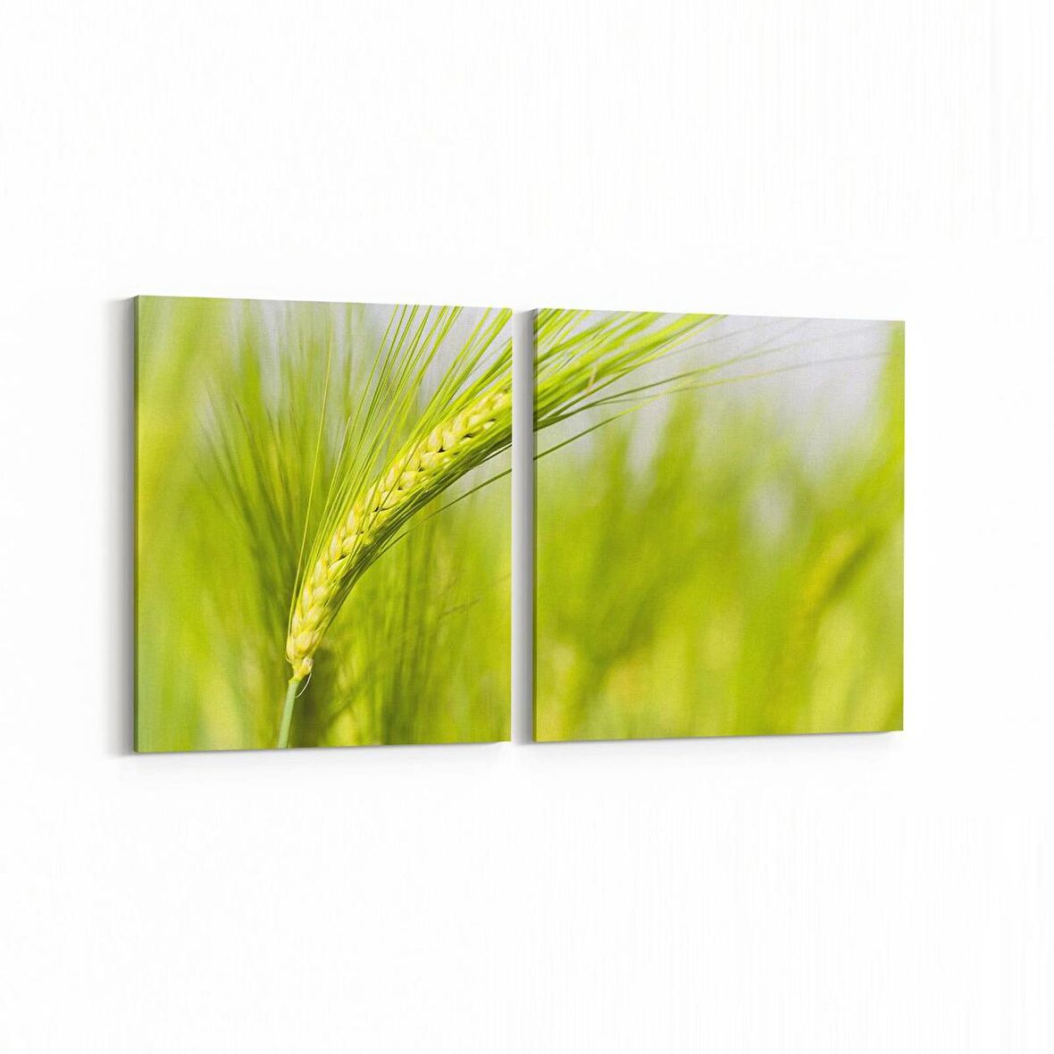 Olla 14329K2Y Doğa / Manzara Görseli Kare 2'li Yatay Kanvas Tablo (Ölçü: 145X70)