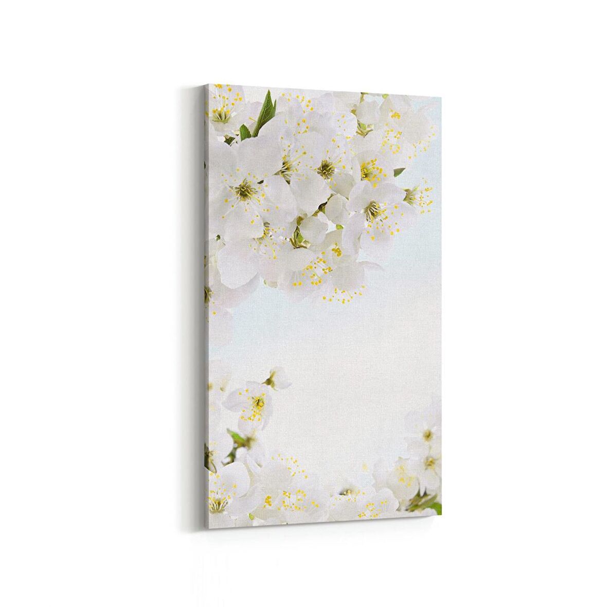 Olla 11734DD Orkide Çiçek Görseli Dikey Dar Kanvas Tablo (Ölçü: 60X120)