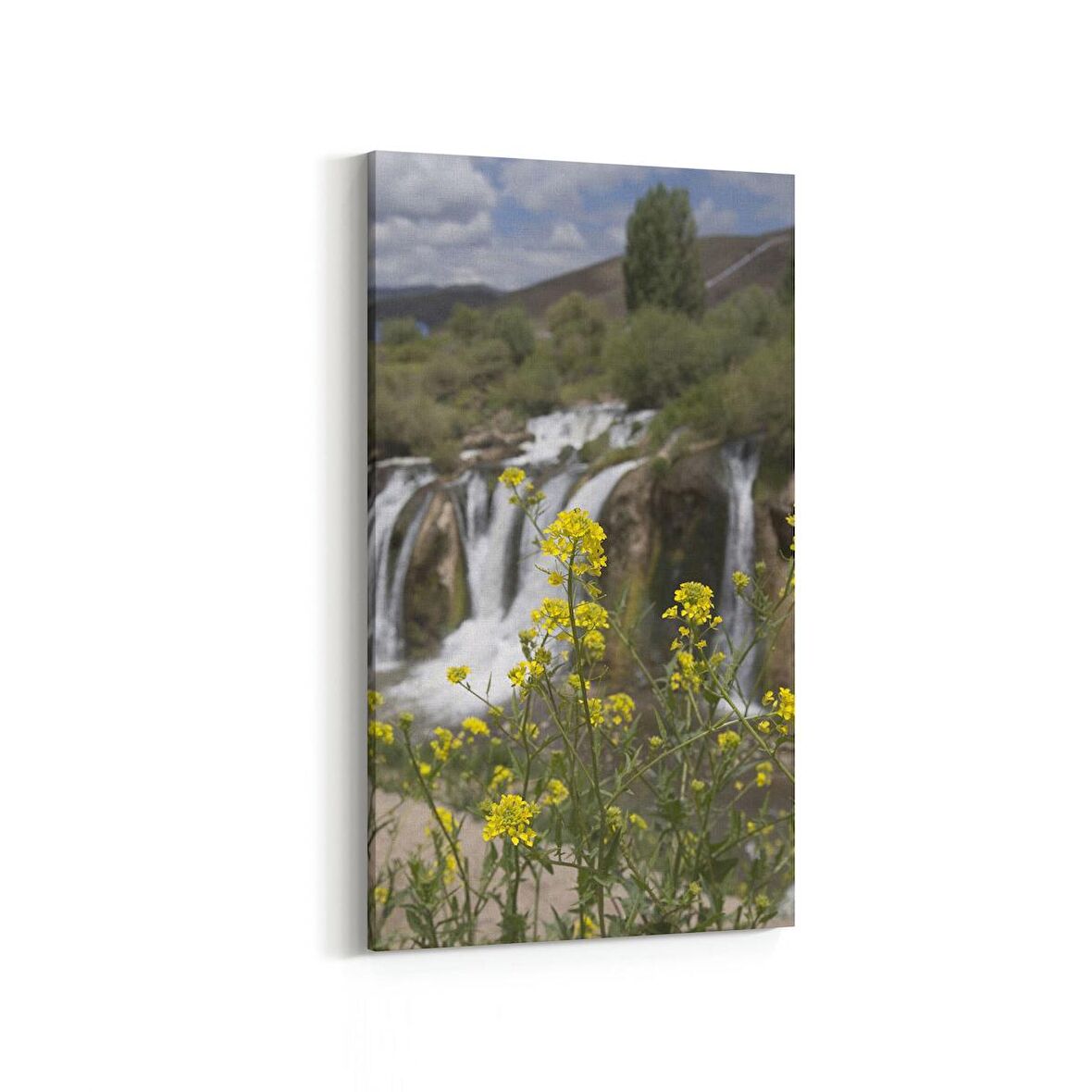 Olla 14365DD Doğa / Manzara Görseli Dikey Dar Kanvas Tablo (Ölçü: 60X120)