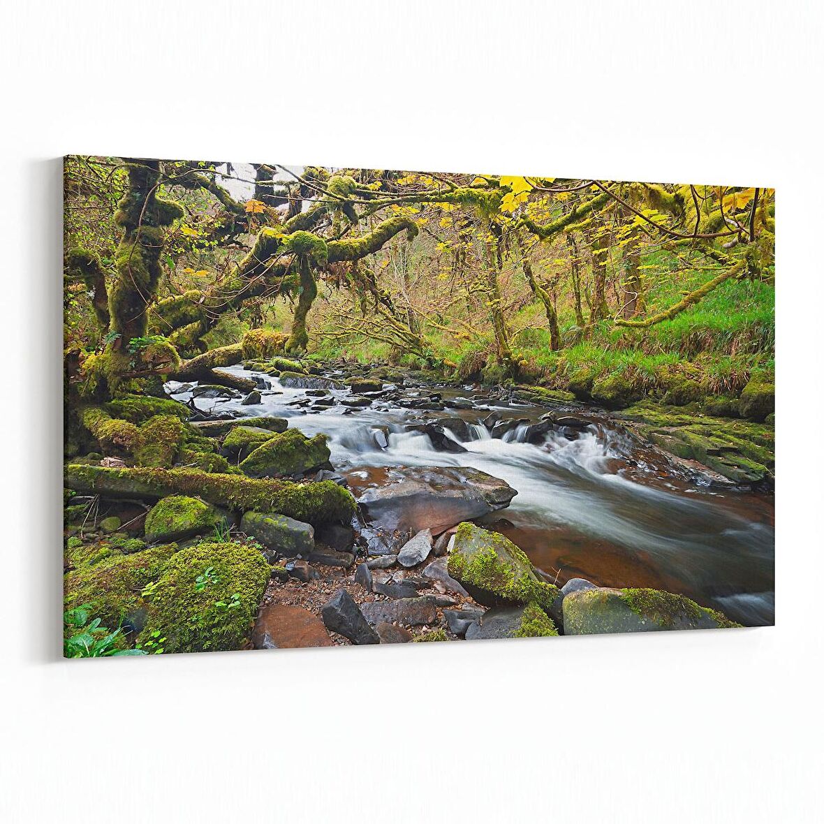 Olla 13170Y Doğa / Manzara Görseli Yatay Kanvas Tablo (Ölçü: 120X80)