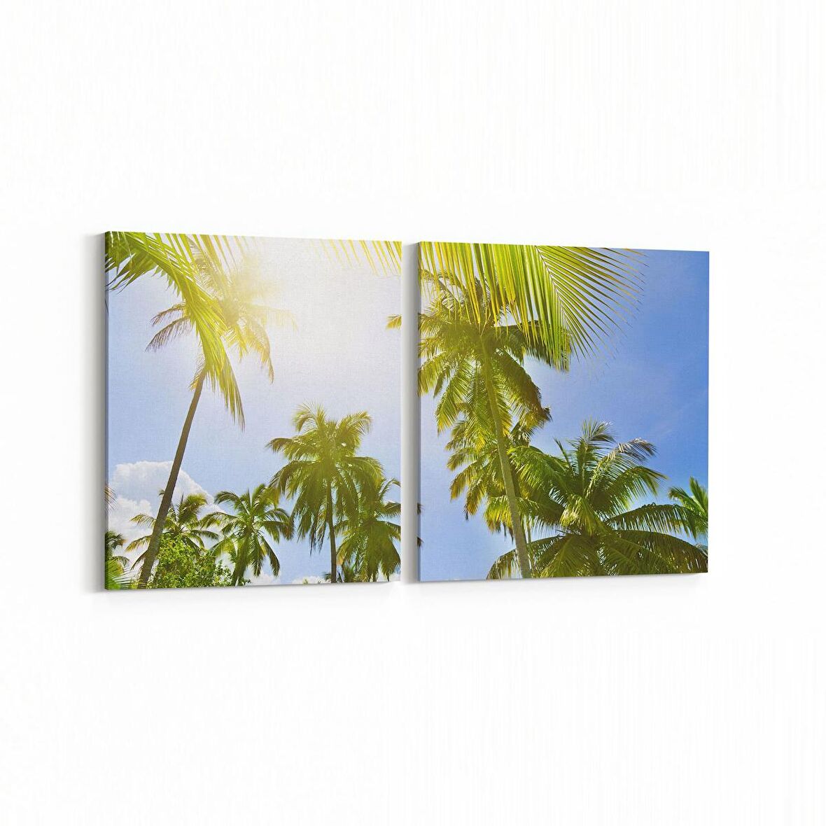 Olla 11524K2Y Palmiye Ağacı Görseli Kare 2'li Yatay Kanvas Tablo (Ölçü: 145X70)