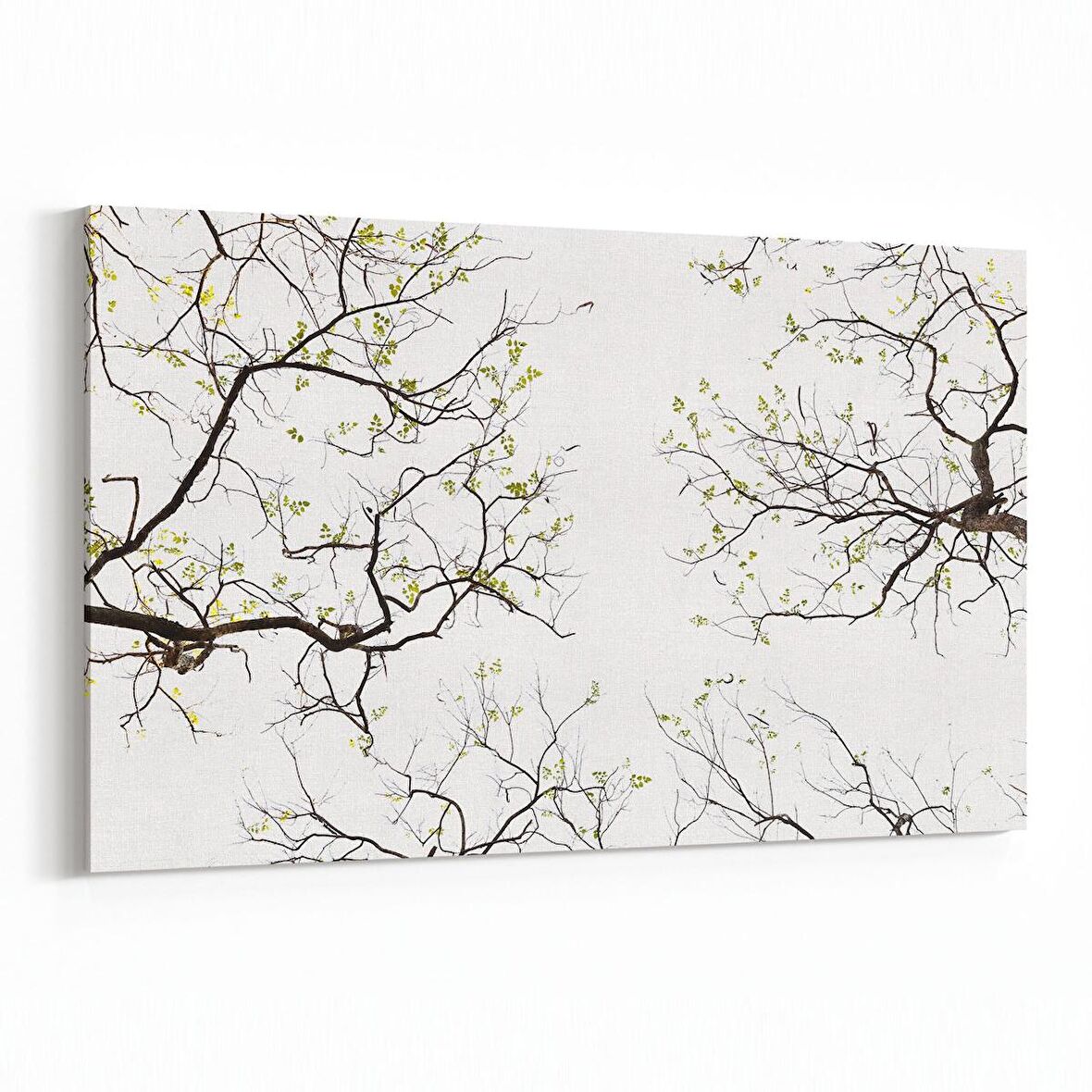 Olla 10887Y Ağaç Görseli Yatay Kanvas Tablo (Ölçü: 150X100)