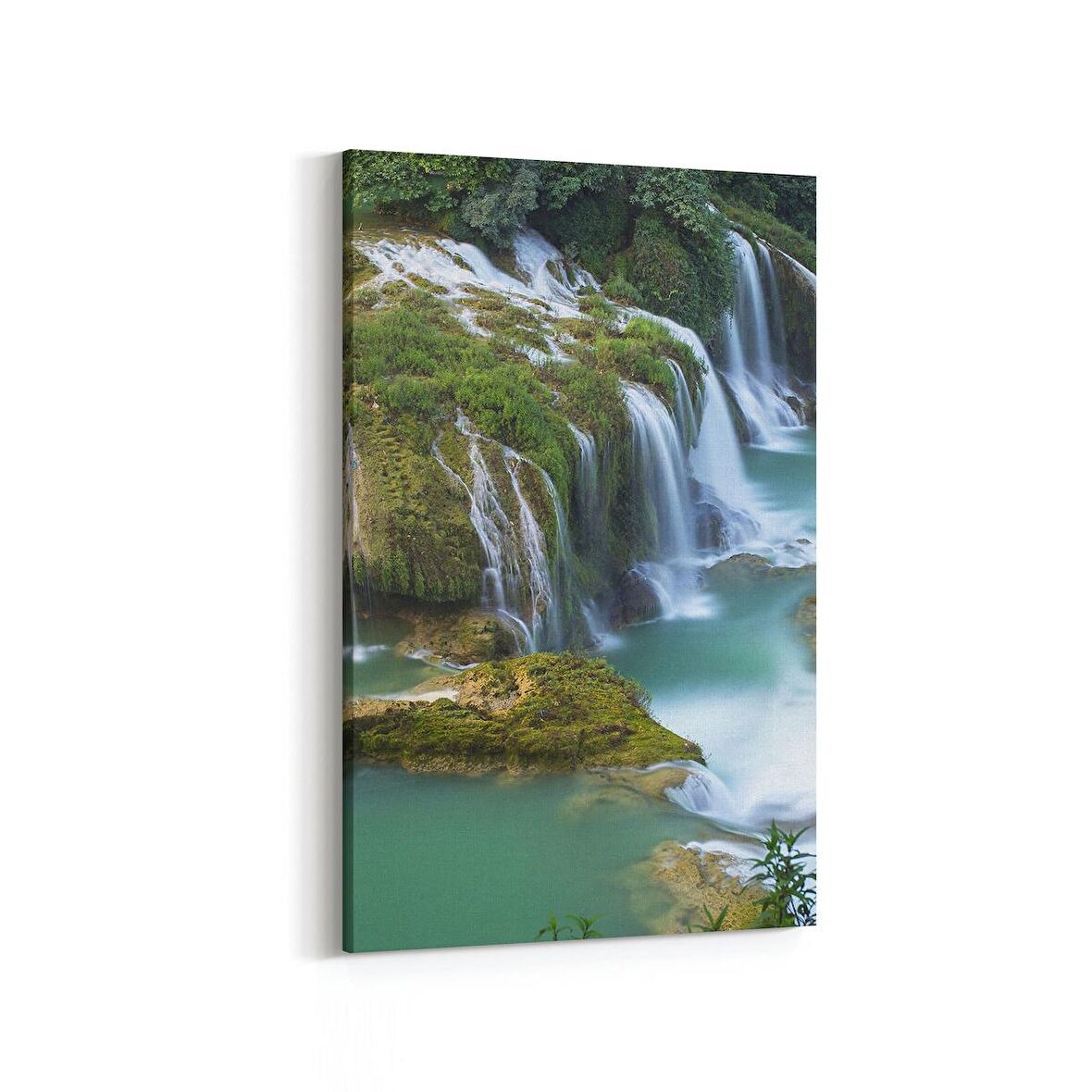Olla 14138D Doğa / Manzara Görseli Dikey Kanvas Tablo (Ölçü: 20X30)