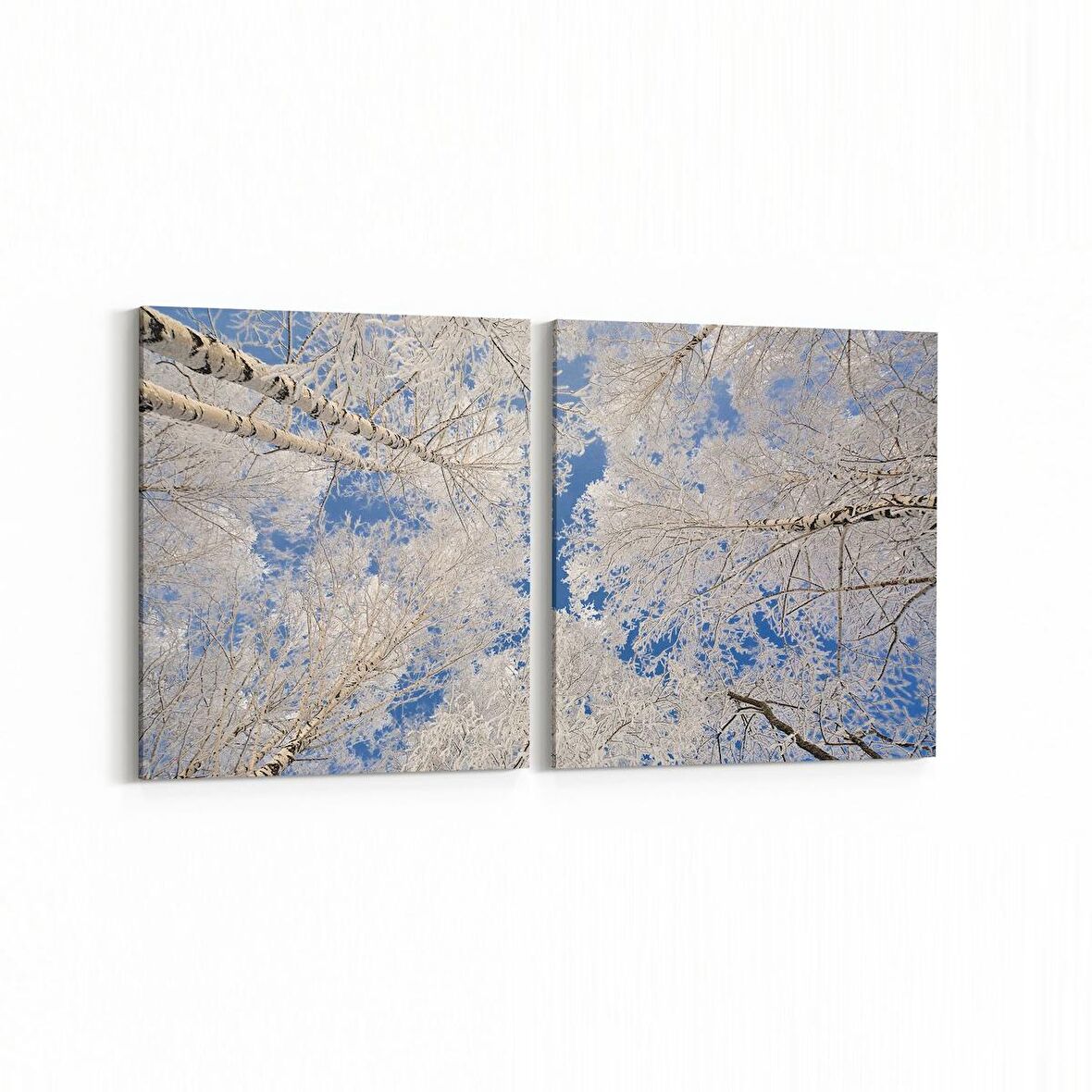 Olla 10976K2Y Ağaç Görseli Kare 2'li Yatay Kanvas Tablo (Ölçü: 105X50)