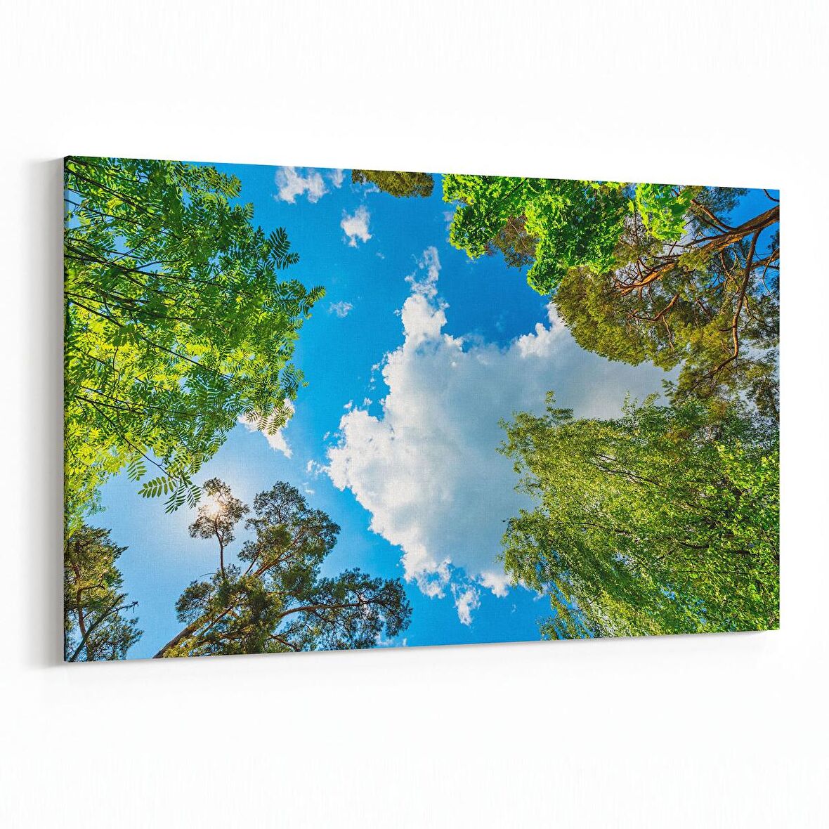 Olla 10514Y Ağaç Görseli Yatay Kanvas Tablo (Ölçü: 45X30)